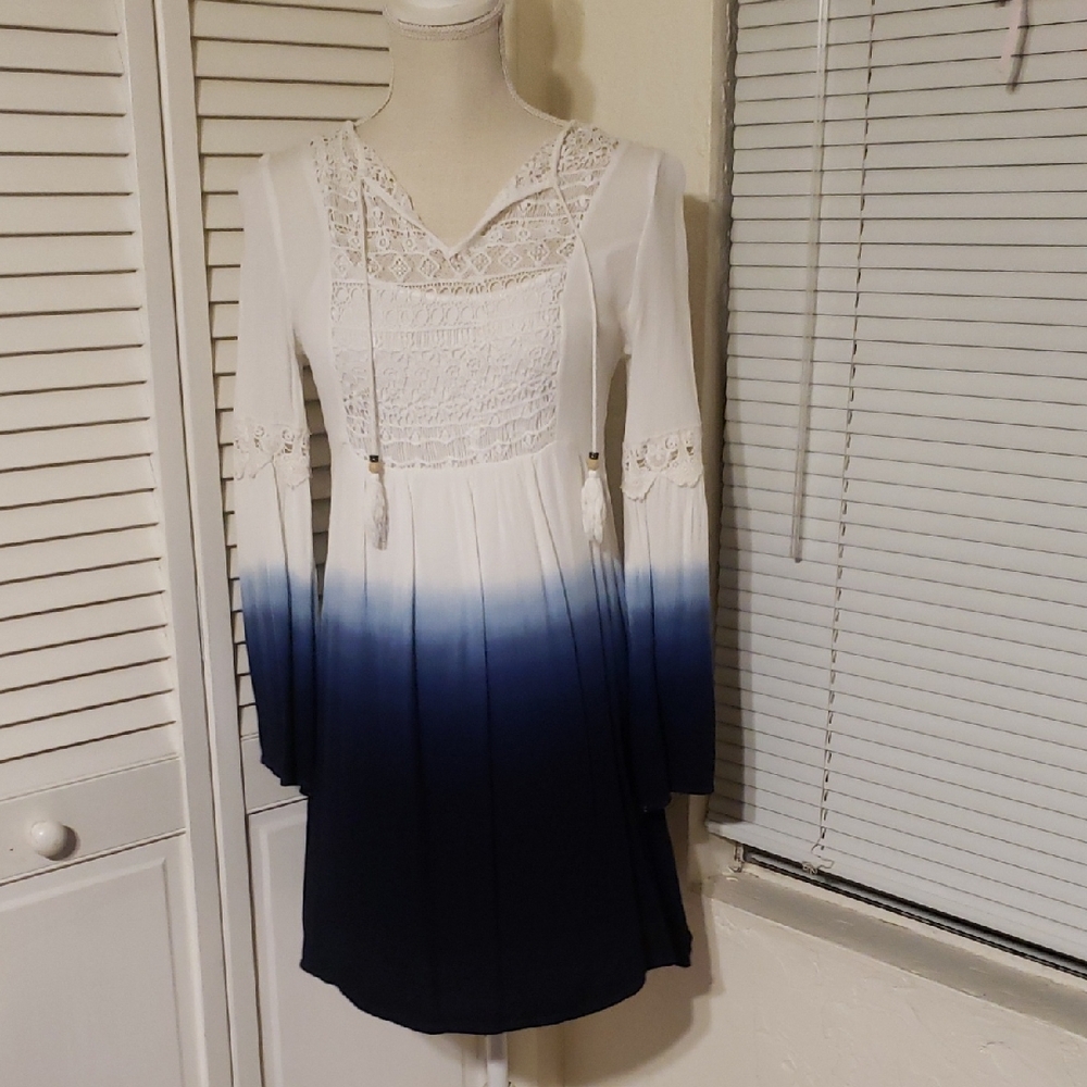 Chic Ombre Lace Long Sleeve Dress